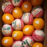 WhatsApp Image 2024-08-19 at 10.17.05 PM