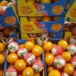 WhatsApp Image 2024-08-19 at 10.17.05 PM (4)