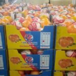 WhatsApp Image 2024-08-19 at 10.17.06 PM