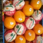 WhatsApp Image 2024-08-19 at 10.17.06 PM (5)