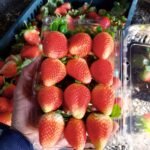 WhatsApp Image 2024-08-19 at 10.17.07 PM (3)