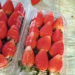 WhatsApp Image 2024-08-19 at 10.17.07 PM (4)