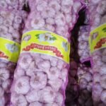 WhatsApp Image 2024-08-19 at 10.17.08 PM (2)