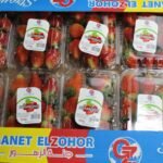 WhatsApp Image 2024-08-19 at 10.17.08 PM (3)