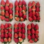 WhatsApp Image 2024-08-19 at 10.17.09 PM (3)