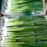 WhatsApp Image 2024-08-19 at 10.17.10 PM