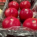 WhatsApp Image 2024-08-19 at 10.17.11 PM (1)