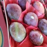 WhatsApp Image 2024 08 19 at 10 17 11 PM 3 150x150