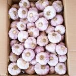 WhatsApp Image 2024 08 19 at 10 17 12 PM 1 150x150