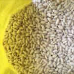 WhatsApp Image 2024 08 19 at 10 17 12 PM 3 150x150