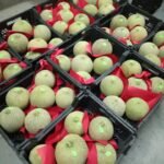 WhatsApp Image 2024 08 19 at 10 17 13 PM 1 150x150