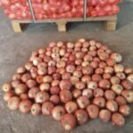 WhatsApp Image 2024 08 19 at 10 17 13 PM 2 150x150