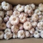 WhatsApp Image 2024 08 19 at 10 17 14 PM 1 150x150