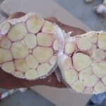 WhatsApp Image 2024 08 19 at 10 17 14 PM 2 150x150