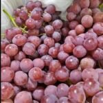 WhatsApp Image 2024 08 19 at 10 17 14 PM 3 150x150