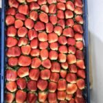 WhatsApp Image 2024 08 19 at 10 25 57 PM 1 150x150