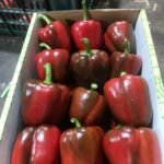 WhatsApp Image 2024 08 19 at 10 25 57 PM 4 150x150