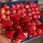 WhatsApp Image 2024 08 19 at 10 25 58 PM 3 150x150