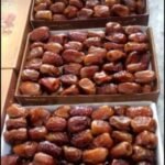 WhatsApp Image 2024 08 19 at 10 25 59 PM 3 150x150