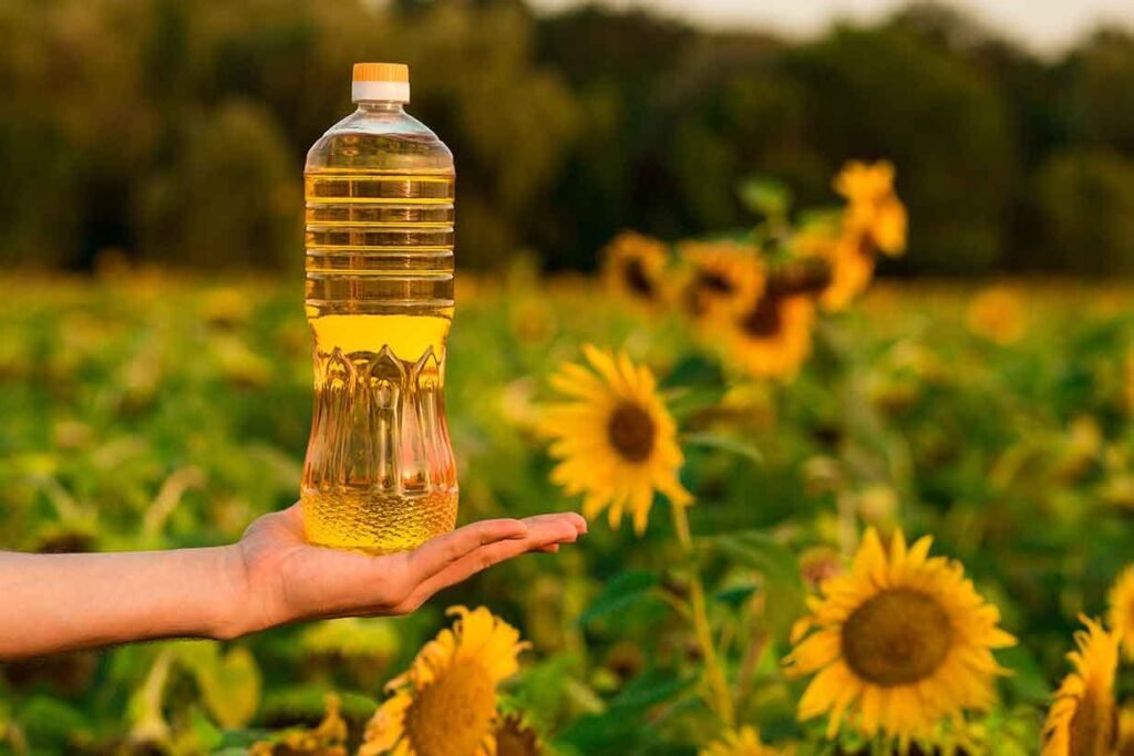 ONIL SUNFLOWER EGYPTIA - Image 4